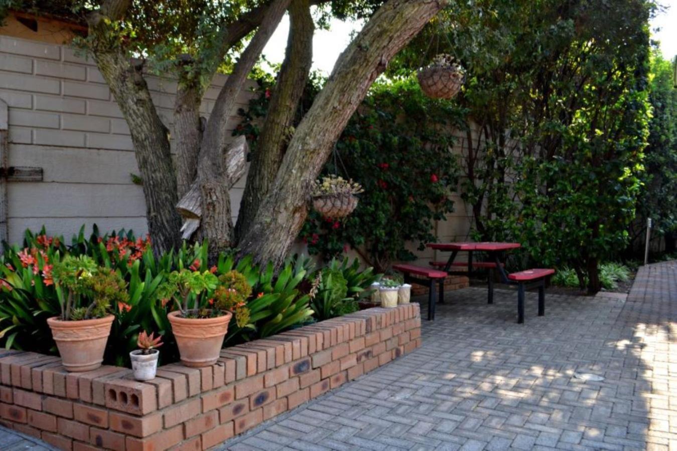 Bokmakierie Gastehuis Emalahleni Pty Ltd Exterior foto